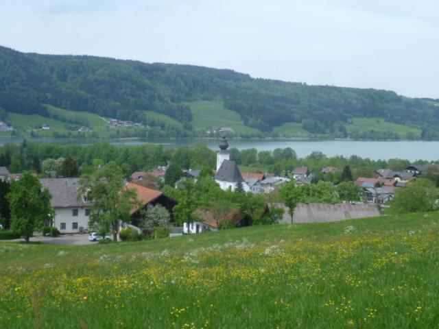 Wunderschoene Ferienwohnung Mit Seeblick Zell am Moos Ngoại thất bức ảnh
