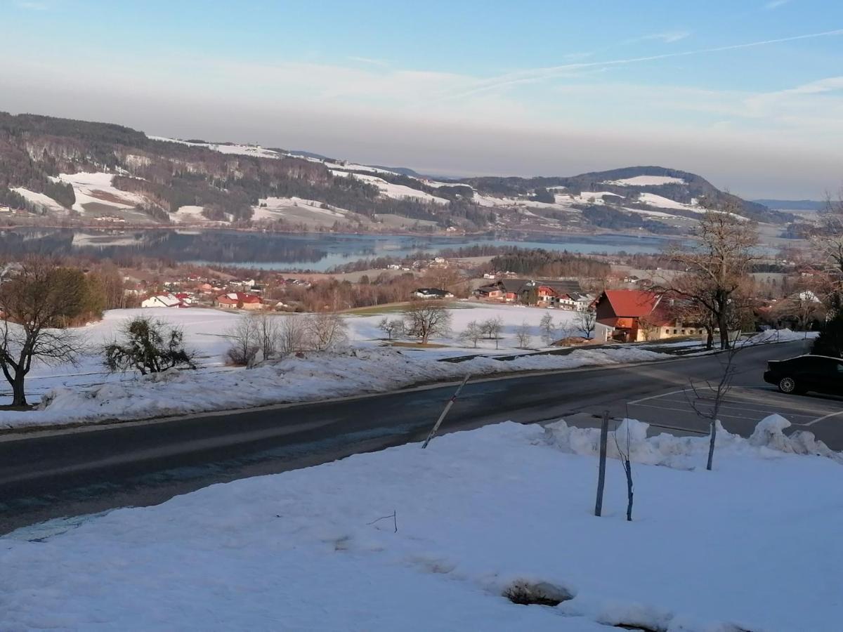 Wunderschoene Ferienwohnung Mit Seeblick Zell am Moos Ngoại thất bức ảnh