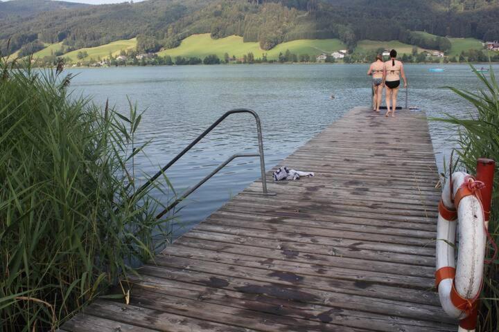 Wunderschoene Ferienwohnung Mit Seeblick Zell am Moos Ngoại thất bức ảnh