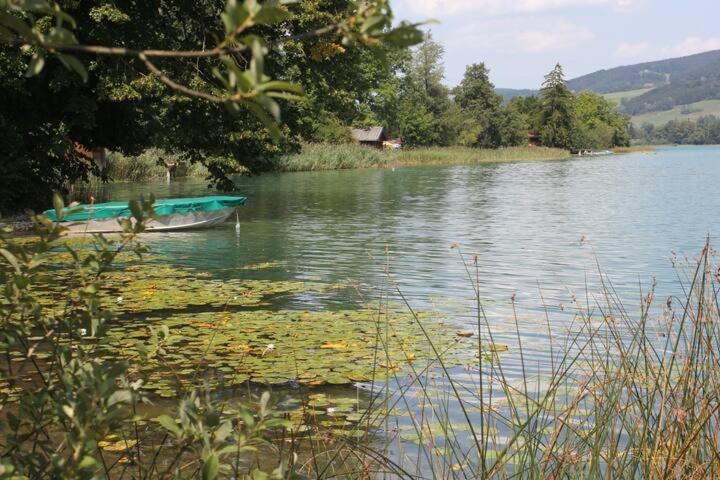 Wunderschoene Ferienwohnung Mit Seeblick Zell am Moos Ngoại thất bức ảnh