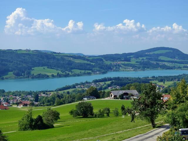 Wunderschoene Ferienwohnung Mit Seeblick Zell am Moos Ngoại thất bức ảnh