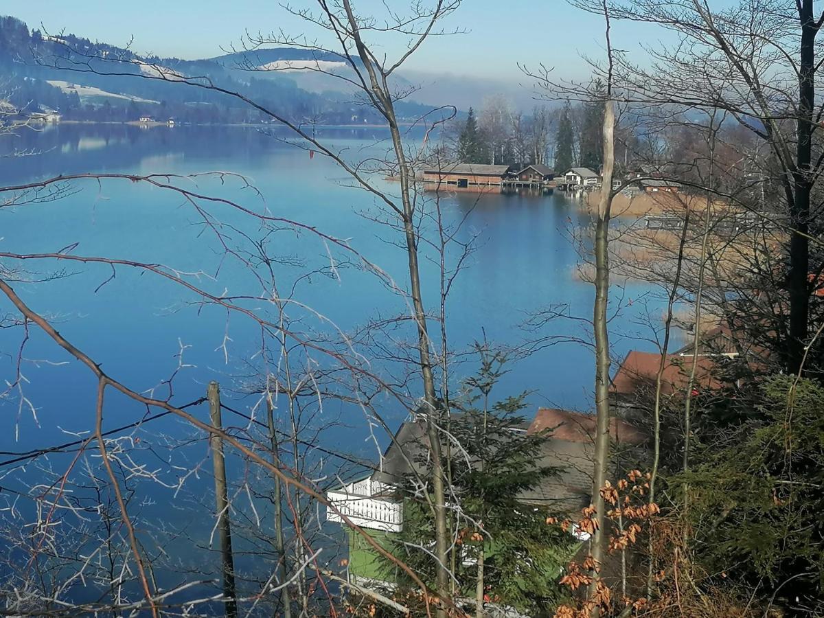 Wunderschoene Ferienwohnung Mit Seeblick Zell am Moos Ngoại thất bức ảnh